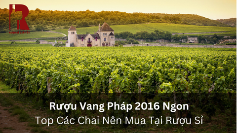 Top 5 Rượu Vang Pháp Niên Vụ 2016 Đáng Mua Nhất Hiện Nay
