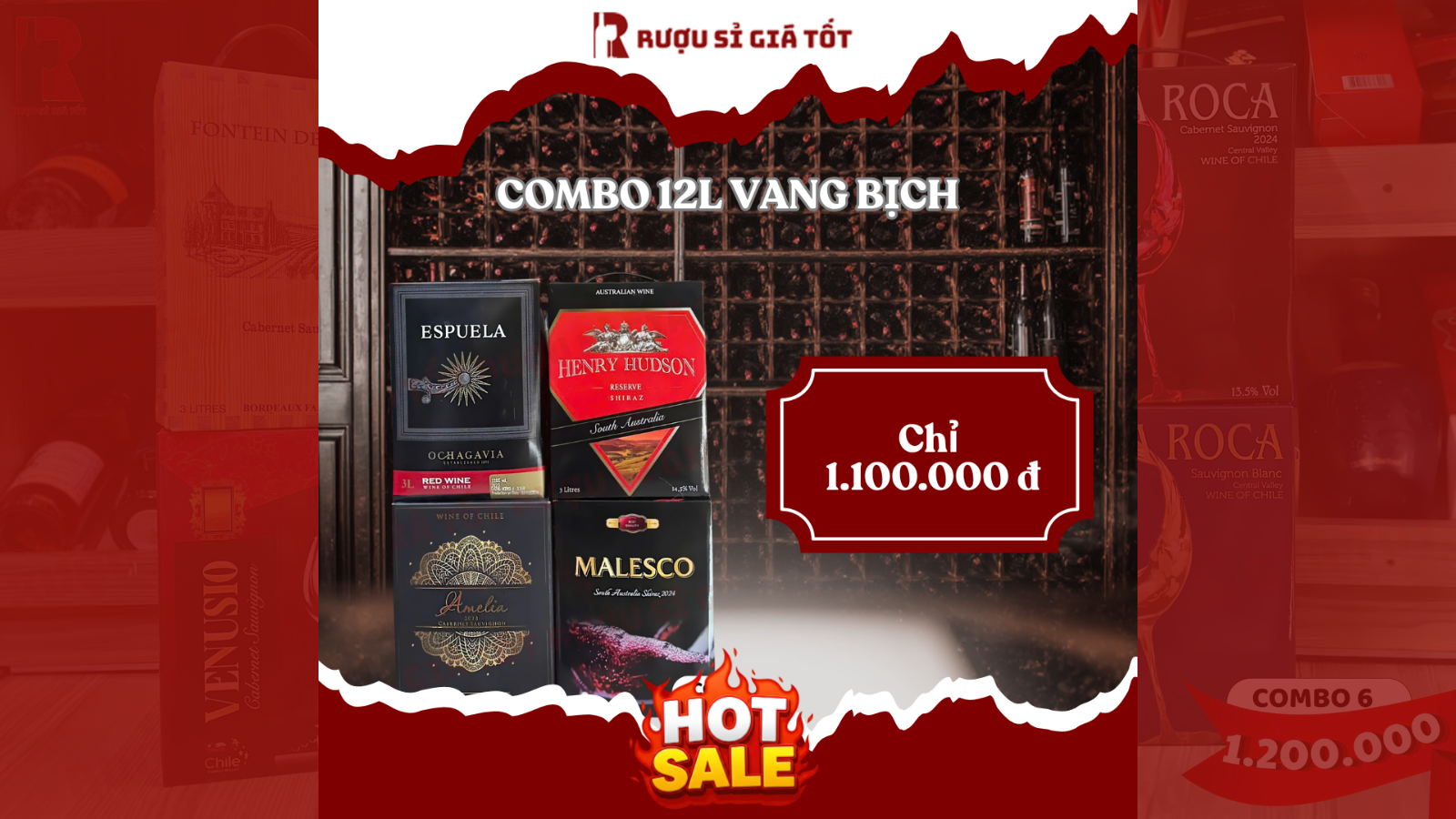 Top 7 Combo Vang Bịch 12 Lít Chile Úc Pháp Ý Từ 1.100k/Set