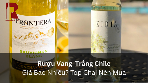 Giá Rượu Vang Trắng Chile $year$: Bảng Giá 3 Phân Khúc Và Cách Chọn