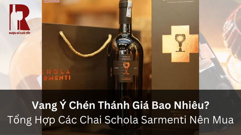 Rượu Vang Ý Chén Thánh Schola Sarmenti Giá Bao Nhiêu?
