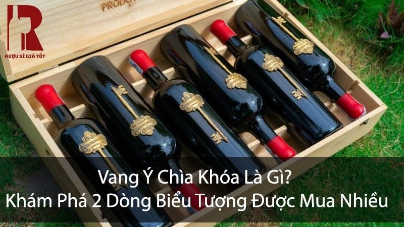 Vang Ý Chìa Khoá Là Gì? Mua Vang Chìa Khoá Ở Đâu?