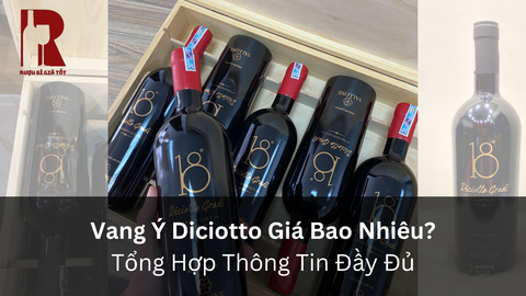 Rượu Vang Ý Diciotto 18 Độ: Schola Sarmenti, Diciannove Gradi và Điều Cần Biết