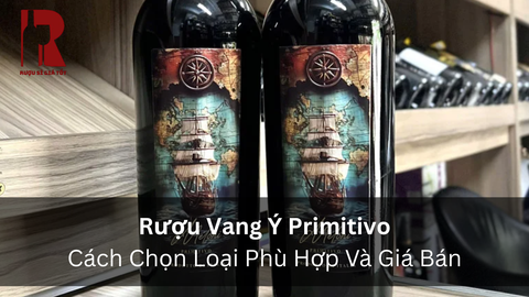 Rượu Vang Ý Primitivo: Nguồn Gốc, Hương Vị Và Những Chai Đáng Thử Nhất