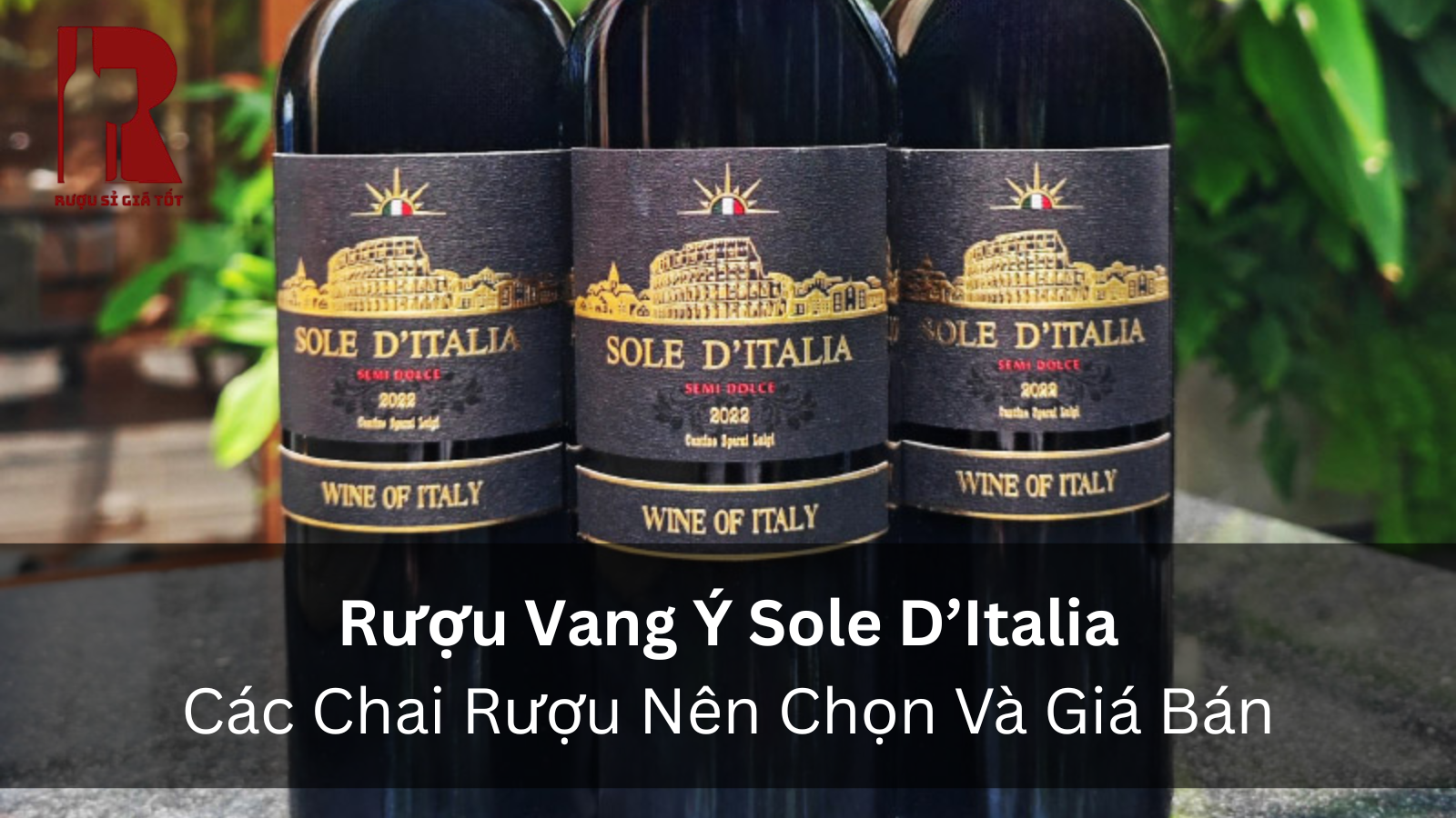 Rượu Vang Ý Sole D'Italia: Hai Phiên Bản, Một Thương Hiệu Đáng Thử