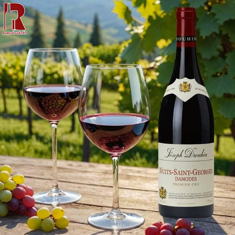 Mua Rượu Vang Pháp Đỏ Joseph Drouhin Nuits Saint Georges Damodes Premier Cru Chất Lượng Cao