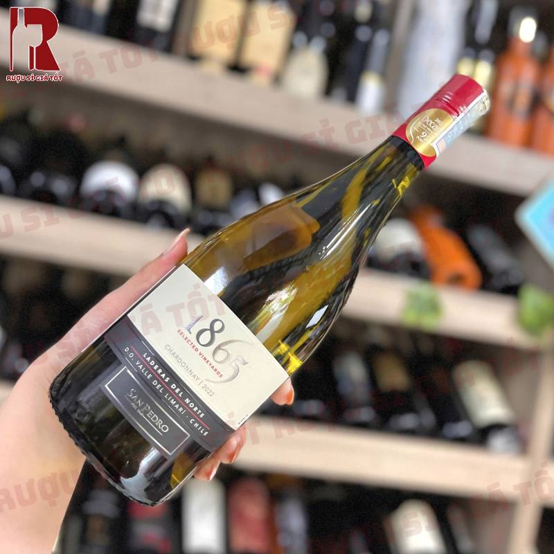 Rượu Vang Chile 1865 Chardonnay