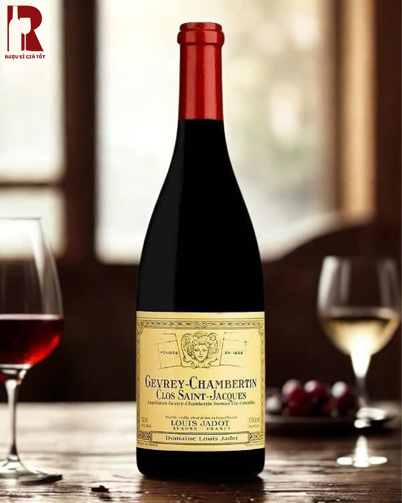 Mua Rượu Vang Pháp Đỏ Louis Jadot Gevrey Chambertin 1er Cru Clos Saint Jacques