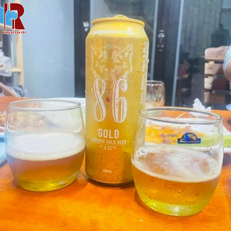 Uống Bia 8.6 Gold 6.5% Với Gì?