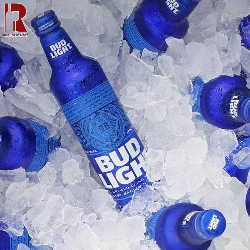 Bia Mỹ phù hợp với đa dạng các món ăn, từ món Việt đến món Âu