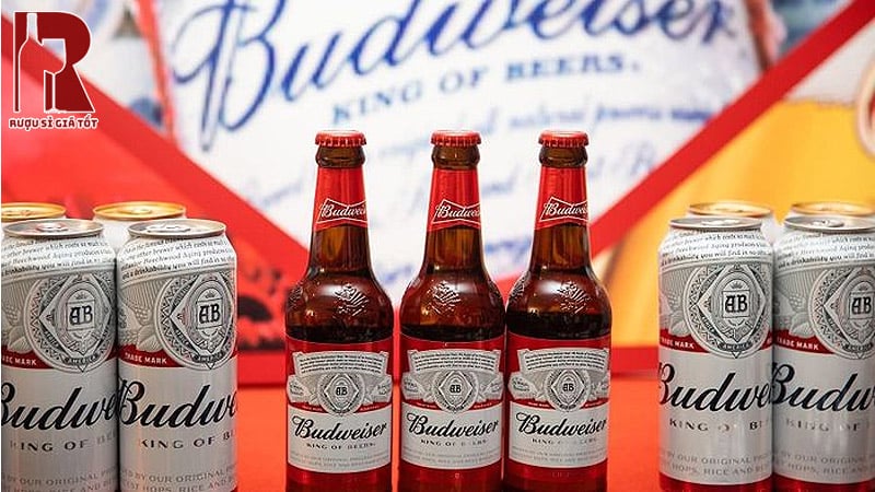 Bia Mỹ mang đến hương vị đa dạng, cá tính và phù hợp với nhiều dịp thưởng thức