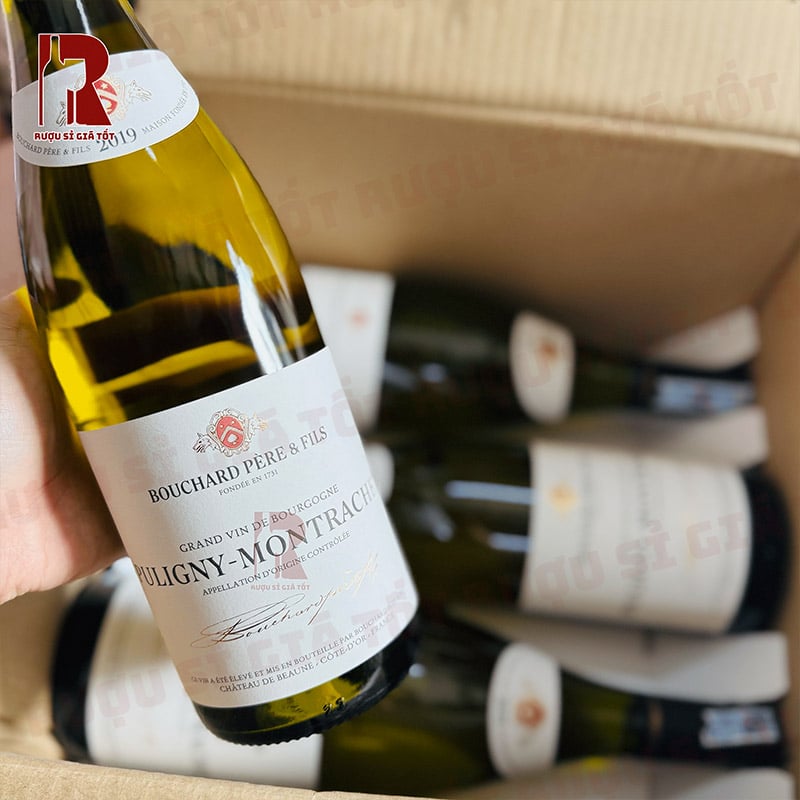Thưởng Thức Rượu Vang Pháp Trắng Bouchard Pere & Fils Puligny Montrachet