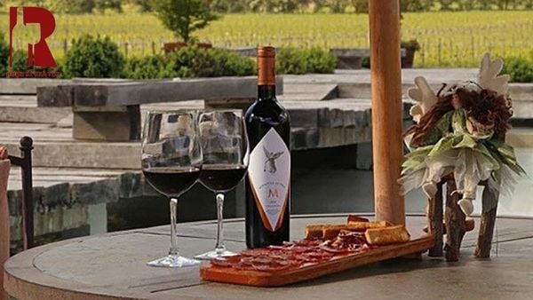 Quy Trình Sản Xuất Rượu Vang Đỏ Tại Nước Chile