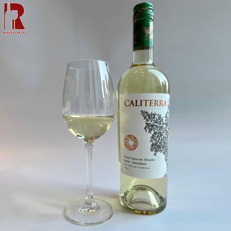 Rượu Vang Chile Trắng Caliterra Reserva