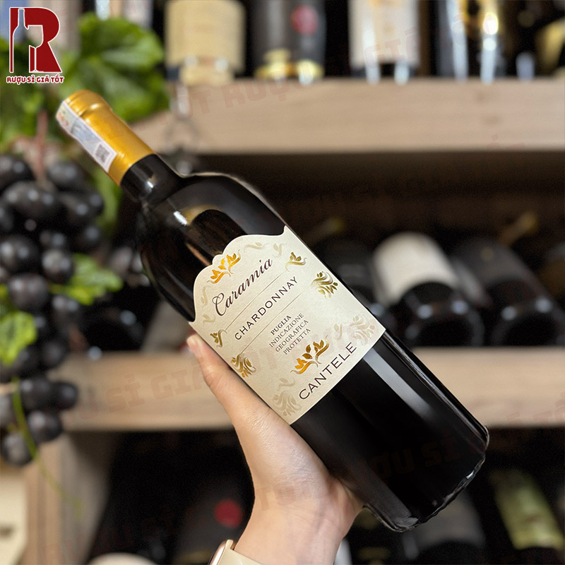 Rượu Vang Caramia Chardonnay tươi mát và thanh nhẹ