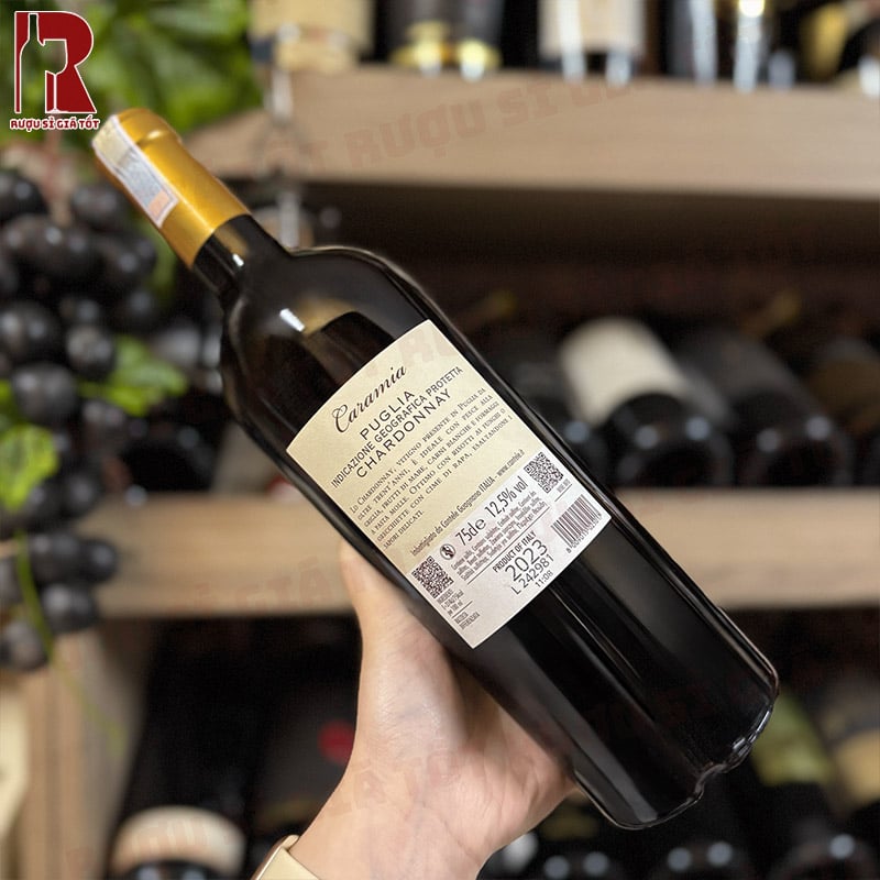 Rượu Vang Caramia Chardonnay nhẹ nhàng lưu luyến với hương thơm táo xanh, lê chín và chút hoa trắng