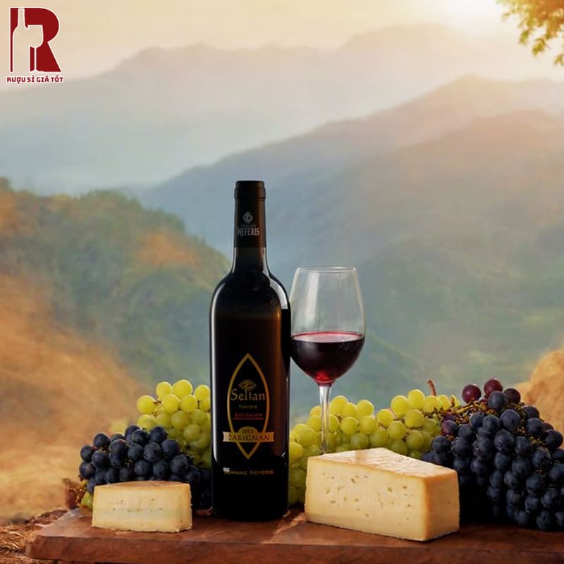 Rượu Vang Carignan Chính Hãng