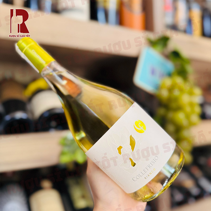 Hương Vị Rượu Vang Ý Trắng CF Collefrisio Magnolia Bianco Như Thế Nào?