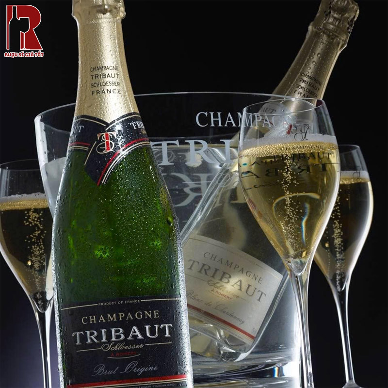 Thưởng Thức Champagne Tribaut Schloesser Brut Premier Cru Ngon Nhất