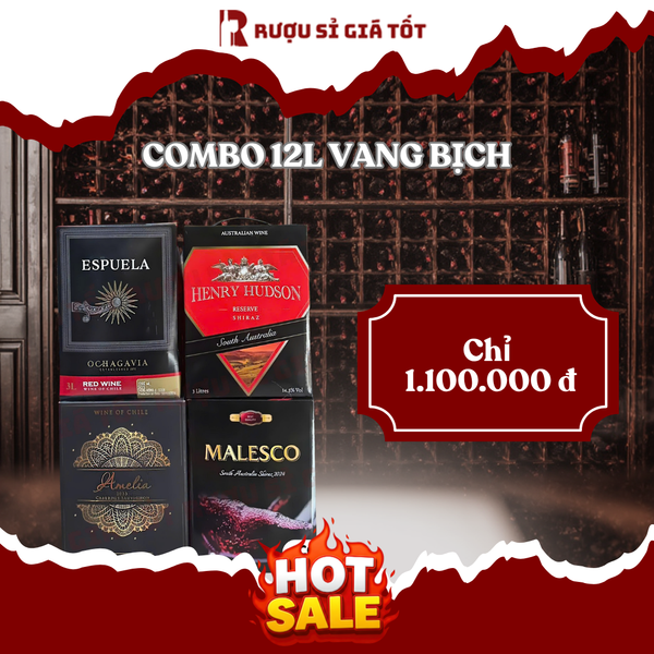 Top 7 Combo Vang Bịch 12 Lít Chile Úc Pháp Ý Từ 1.100k/Set