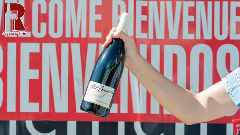 Rượu Henri Bourgeois Petit Bourgeois Cabernet Franc IGP Nhập Khẩu Chính Ngạch