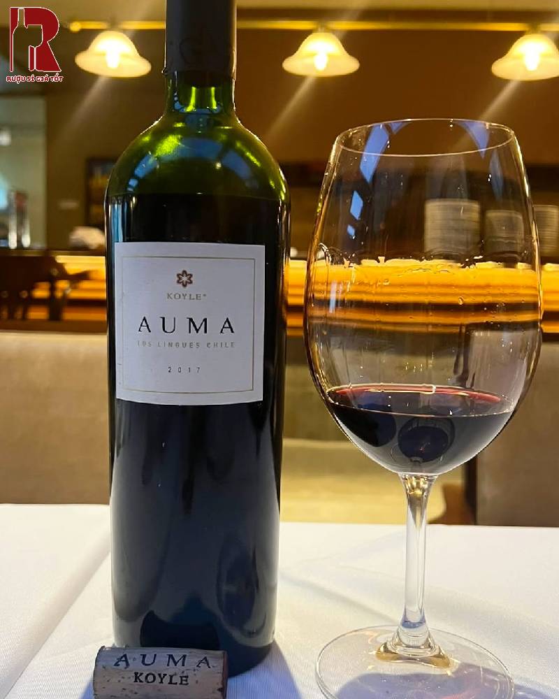 Rượu Vang Chile Koyle Auma