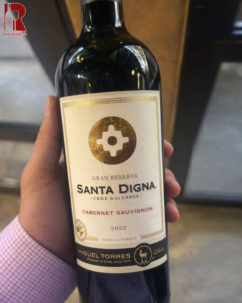 Rượu Vang Chile Đỏ Miguel Torres Santa Digna Reserva