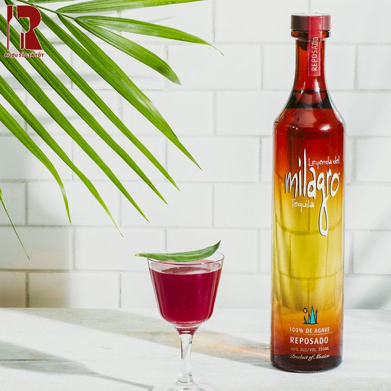 Milagro được sản xuất hoàn toàn từ 100% agave xanh Weber, một loại thực vật quý hiếm