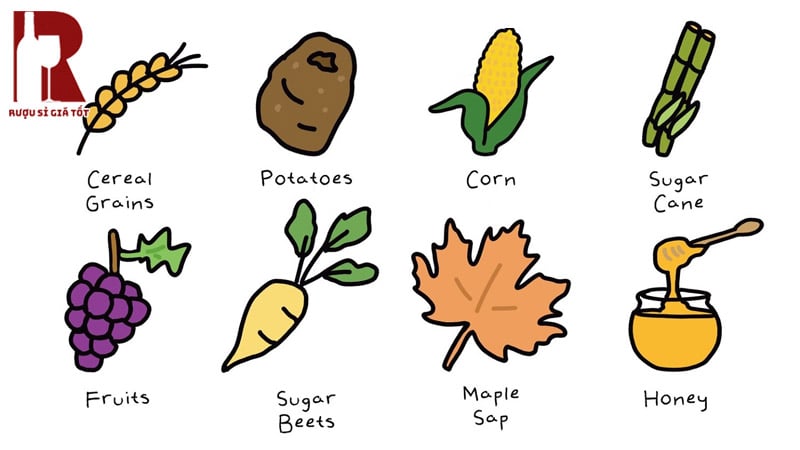 Rượu vodka được làm từ nguyên liệu gì?