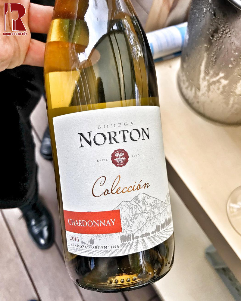 Hương Vị Vang Trắng Norton Coleccion Thơm Ngon