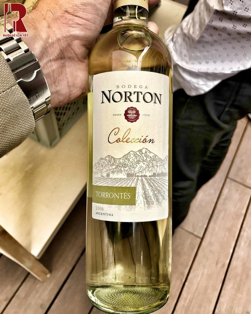 Rượu Norton Coleccion Cao Cấp