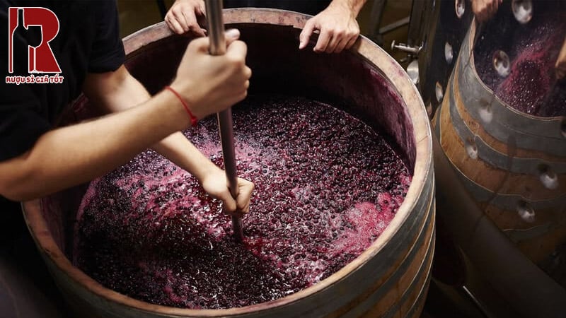 Quá Trình Sản Xuất Rượu Vang Ngọt