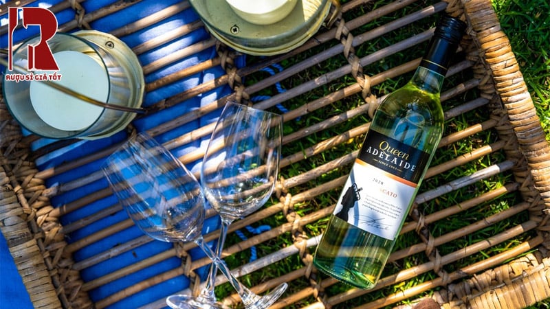 Rượu Queen Adelaide Moscato Chính Hãng