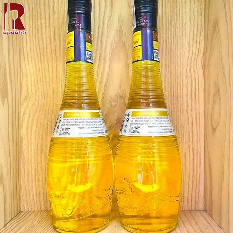 Hương Vị Rượu Bols Vanilla