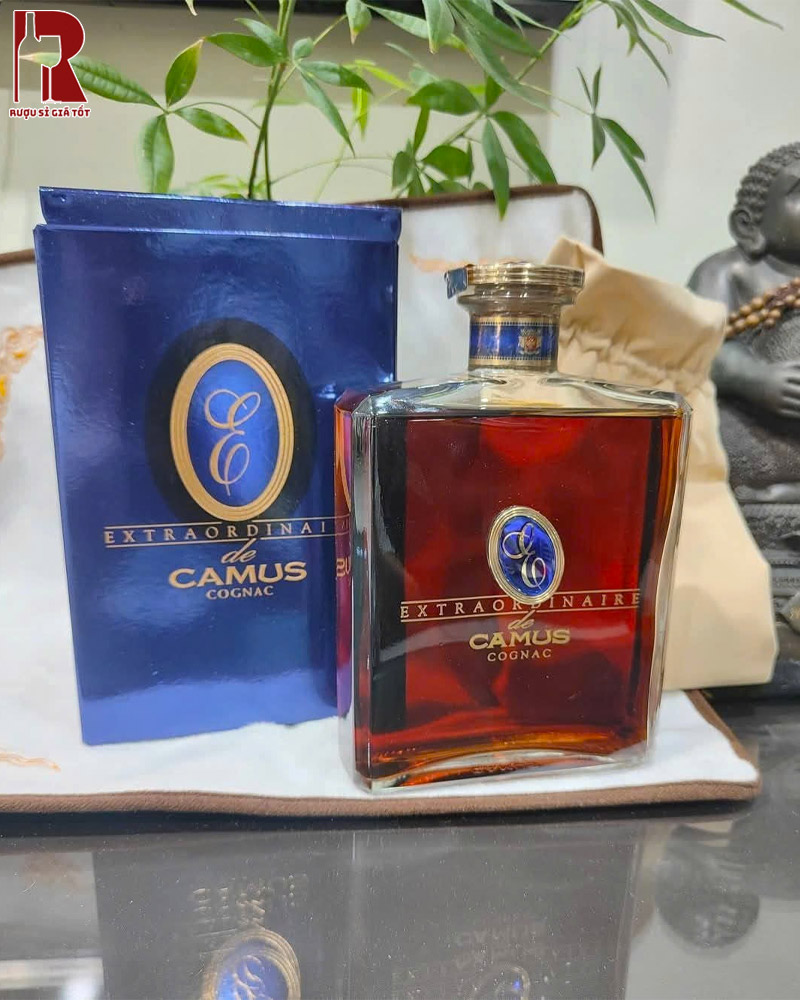 Mua Rượu Camus Extraordinaire