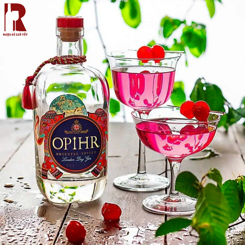 Cách Thưởng Thức Rượu Gin Opihr