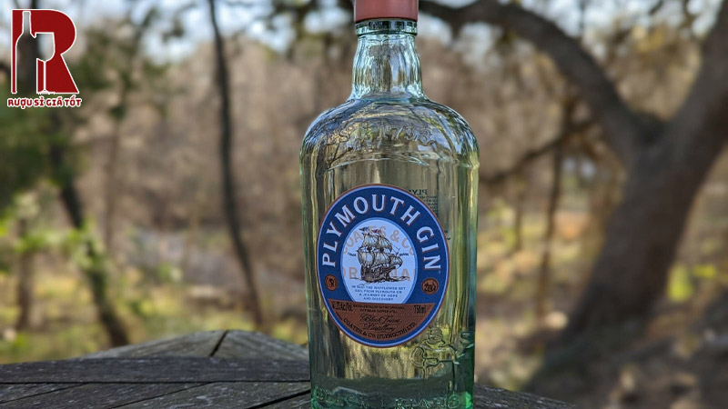 Rượu Gin Plymouth Giá Mới Nhất