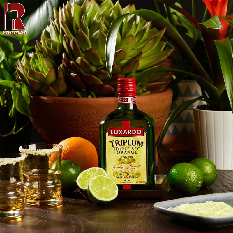 Rượu Luxardo Triplum Triple Sec Orange Liqueur Ăn Với Gì?