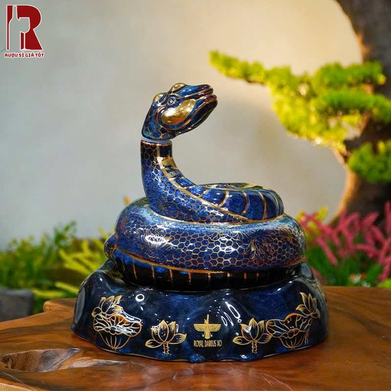 Rượu Rắn Doha Royal Darius XO 2025 - Rượu Linh Vật Giá Cao Không?