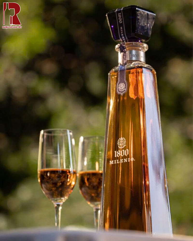 Uống Rượu Tequila 1800 Milenio Sành Điệu