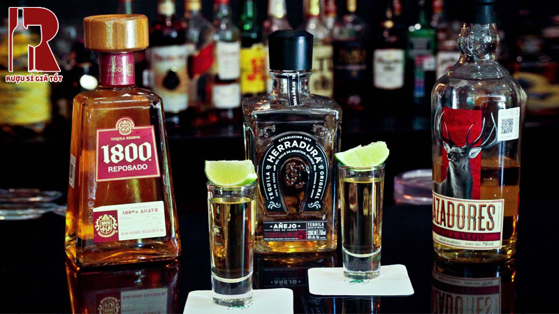 Rượu Tequila