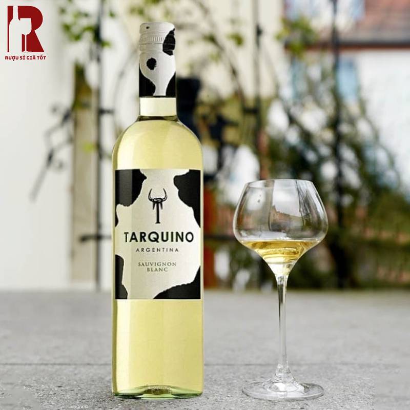 Giá Rượu Vang Argentina Trắng Tarquino Sauvignon Blanc Bao Nhiêu?