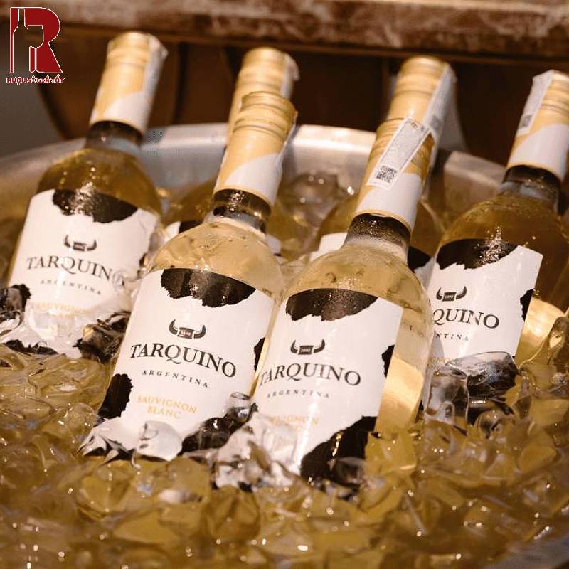 Mua Rượu Vang Argentina Trắng Tarquino Sauvignon Blanc