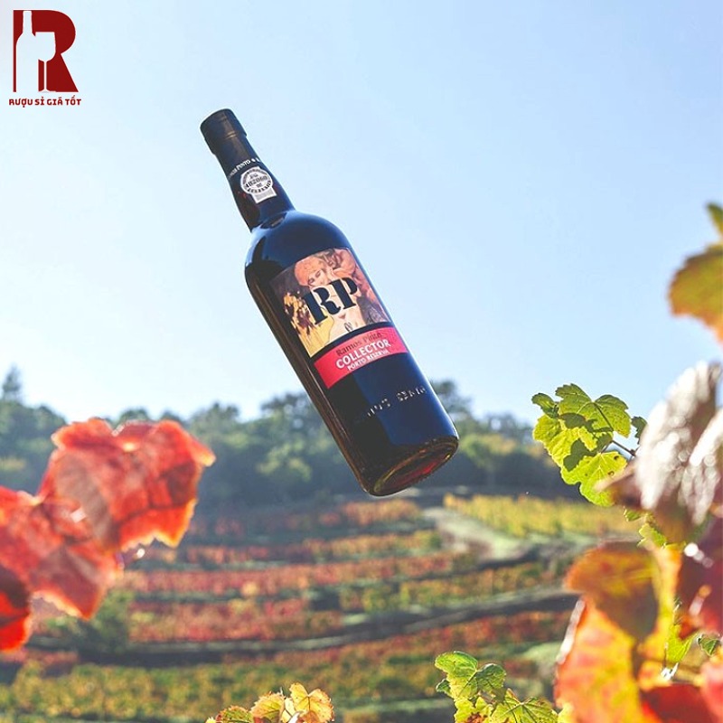 Rượu Vang Bồ Đào Nha Đỏ Ramos Pinto Collector Port Nhập Khẩu