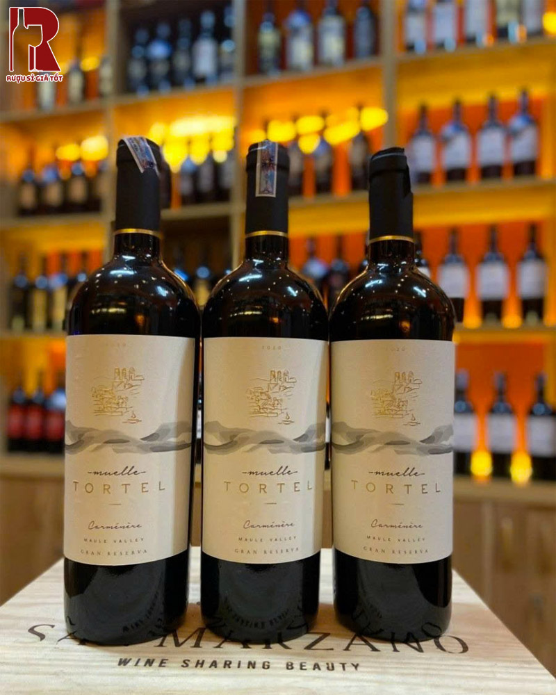 Mua Rượu Vang Chile Đỏ Muelle Tortel Gran Reserva Carmenere Uy Tín
