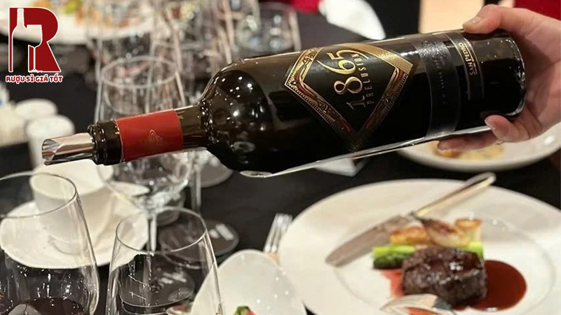 Rượu Vang Chile Đỏ 1865 Prelusios Thượng Hạng