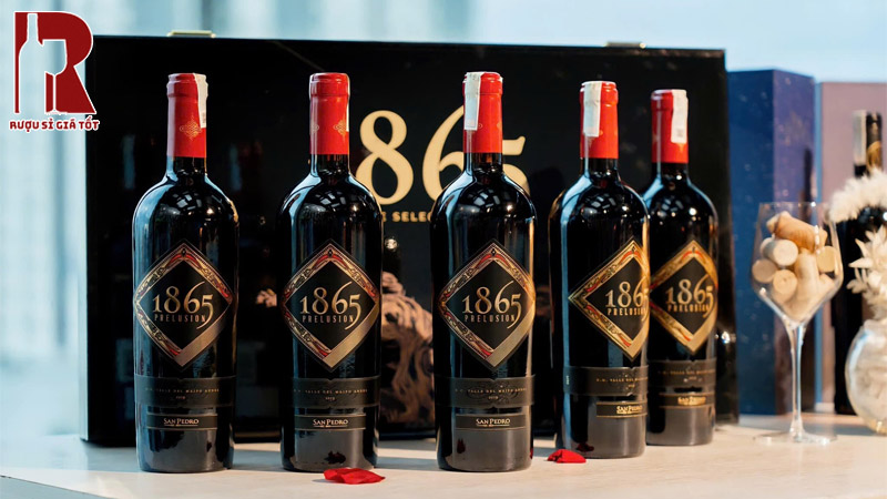 Mua Rượu Vang Chile Đỏ 1865 Prelusios