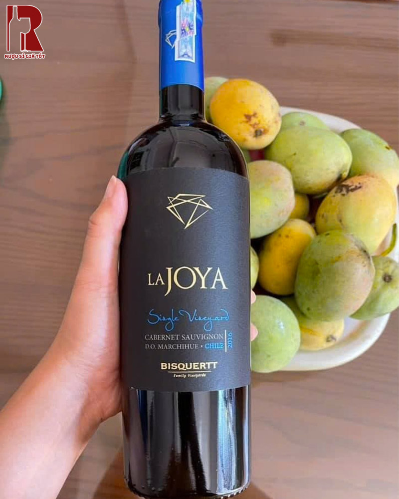 Thưởng Thức Rượu Vang Chile Đỏ Bisquertt La Joya Single Vineyard