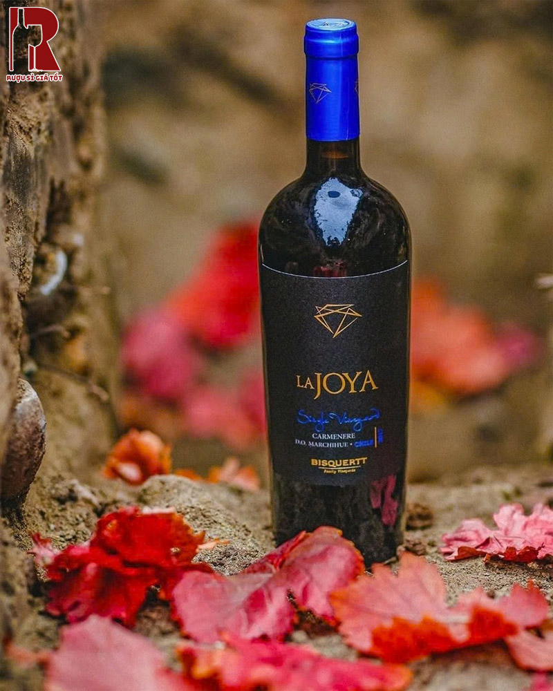Mua Rượu Vang Chile Đỏ Bisquertt La Joya Single Vineyard Uy Tín