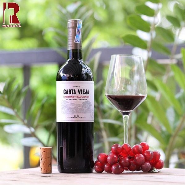 Khám Phá Quy Trình Làm Vang Carta Vieja Cabernet Sauvignon