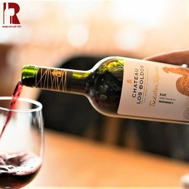 Uống Rượu Vang Chile Đỏ Chateau Los Boldos Tradition Reserve Carmenere Đúng Điệu